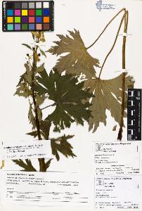 SW_BNB_s3070-02297_IMG-0000000001
