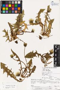 SW_BNB_s3070-02301_IMG-0000000001