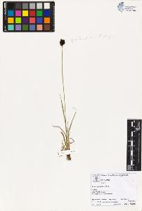 SW_BNB_s3070-02303_IMG-0000000001