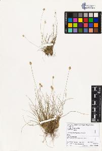 SW_BNB_s3070-02304_IMG-0000000001