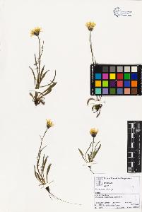 SW_BNB_s3070-02306_IMG-0000000001