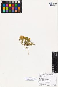 SW_BNB_s3070-02309_IMG-0000000001