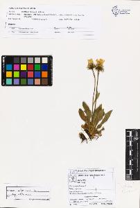 SW_BNB_s3070-02310_IMG-0000000001