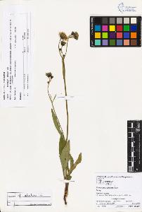 SW_BNB_s3070-02311_IMG-0000000001