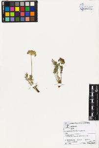 SW_BNB_s3070-02313_IMG-0000000001