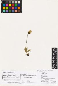 SW_BNB_s3070-02315_IMG-0000000001