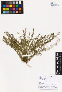 SW_BNB_s3070-02318_IMG-0000000001