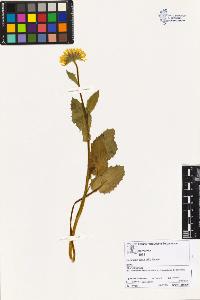 SW_BNB_s3070-02319_IMG-0000000001
