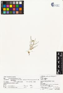 SW_BNB_s3070-02320_IMG-0000000001