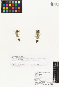 SW_BNB_s3070-02321_IMG-0000000001