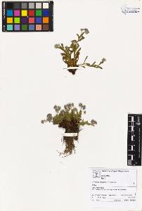 SW_BNB_s3070-02324_IMG-0000000001