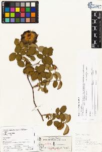 SW_BNB_s3070-02327_IMG-0000000001
