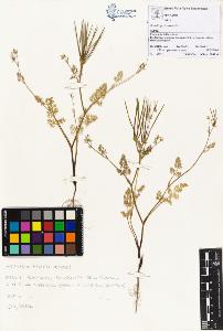 SW_BNB_s3070-02328_IMG-0000000001