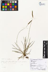 SW_BNB_s3070-02330_IMG-0000000001