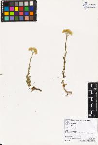 SW_BNB_s3070-02333_IMG-0000000001