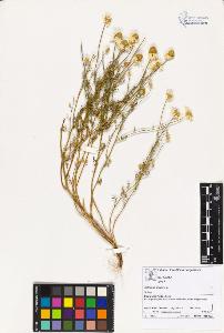 SW_BNB_s3070-02336_IMG-0000000001