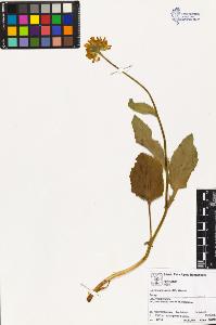 SW_BNB_s3070-02339_IMG-0000000001