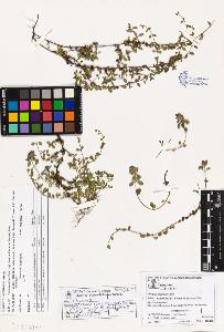 SW_BNB_s3070-02343_IMG-0000000001