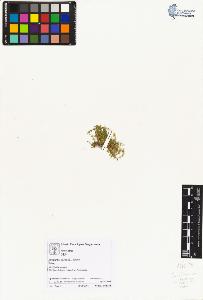 SW_BNB_s3070-02345_IMG-0000000001