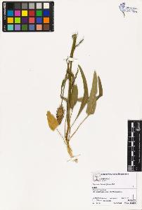 SW_BNB_s3070-02350_IMG-0000000001
