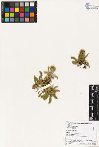 SW_BNB_s3070-02352_IMG-0000000001