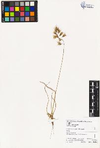SW_BNB_s3070-02354_IMG-0000000001