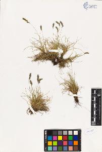 SW_BNB_s3070-02356_IMG-0000000001