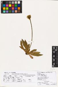 SW_BNB_s3070-02360_IMG-0000000001