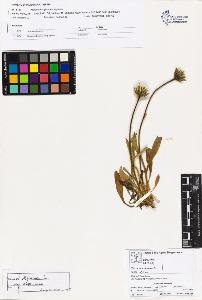 SW_BNB_s3070-02363_IMG-0000000001