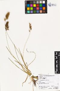 SW_BNB_s3070-02365_IMG-0000000001