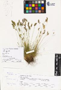 SW_BNB_s3070-02366_IMG-0000000001