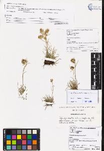 SW_BNB_s3070-02369_IMG-0000000001