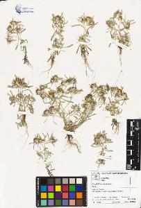 SW_BNB_s3070-02376_IMG-0000000001
