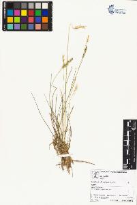SW_BNB_s3070-02379_IMG-0000000001