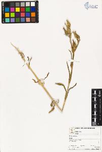 SW_BNB_s3070-02382_IMG-0000000001