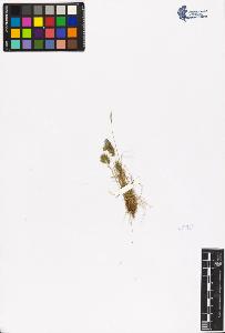 SW_BNB_s3070-02388_IMG-0000000001