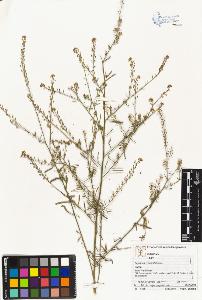 SW_BNB_s3070-02404_IMG-0000000001