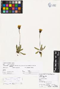SW_BNB_s3070-02411_IMG-0000000001