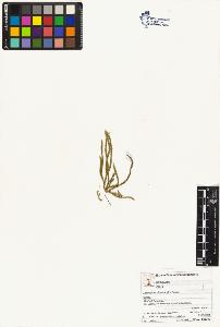 SW_BNB_s3070-02414_IMG-0000000001
