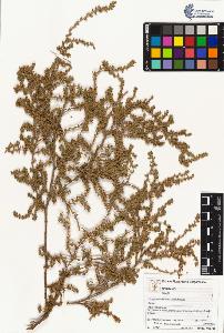 SW_BNB_s3070-02420_IMG-0000000001
