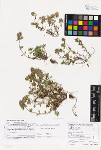 SW_BNB_s3070-02425_IMG-0000000001