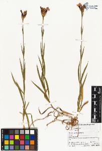 SW_BNB_s3070-02427_IMG-0000000001