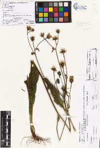 SW_BNB_s3070-02440_IMG-0000000001