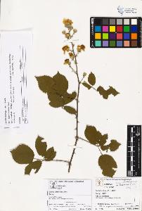 SW_BNB_s3070-02454_IMG-0000000001