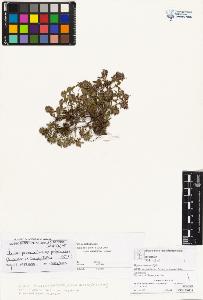 SW_BNB_s3070-02470_IMG-0000000001