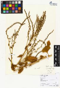 SW_BNB_s3070-02478_IMG-0000000001