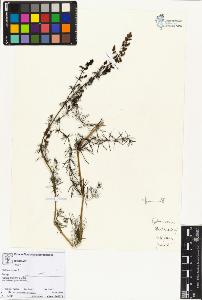 SW_BNB_s3070-02481_IMG-0000000001