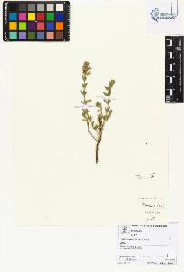 SW_BNB_s3070-02482_IMG-0000000001