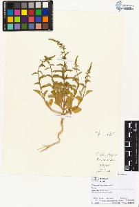 SW_BNB_s3070-02483_IMG-0000000001