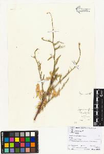SW_BNB_s3070-02485_IMG-0000000001